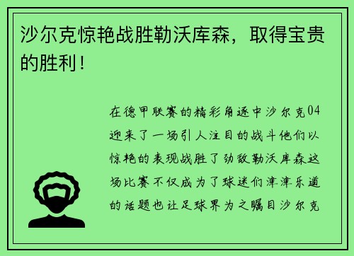 沙尔克惊艳战胜勒沃库森，取得宝贵的胜利！